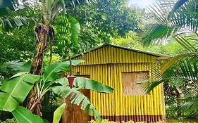 Ixaya Jardin