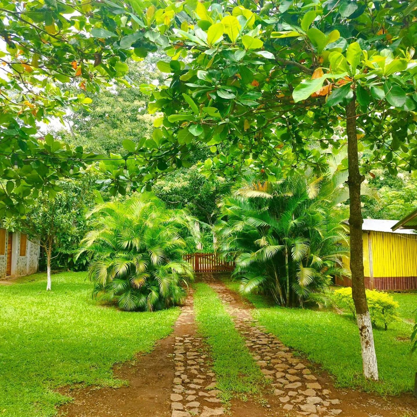 Cabañas Ixaya Catemaco Exterior foto
