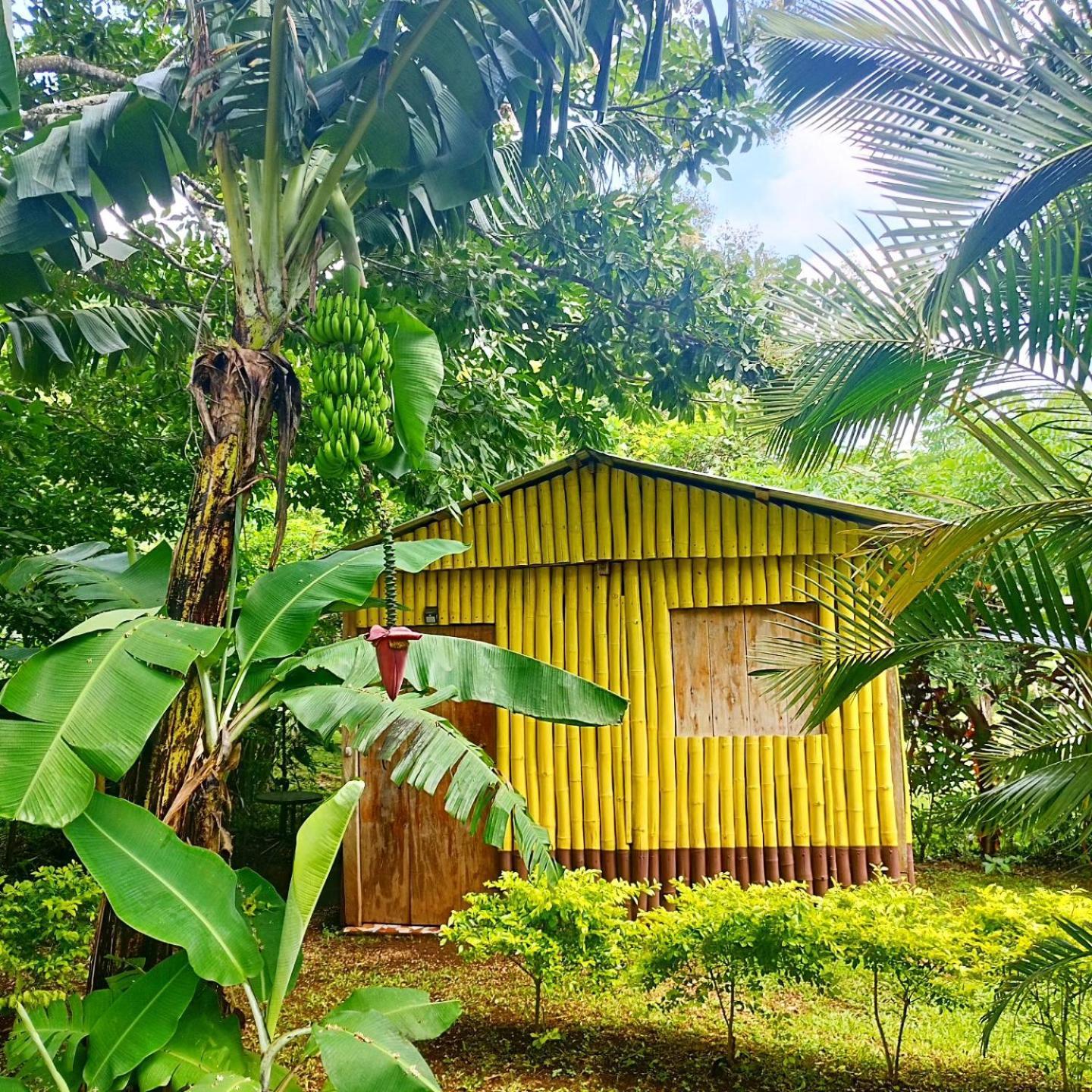 Cabañas Ixaya Catemaco Exterior foto